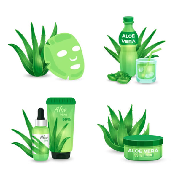 ORAGANIC ALOE VERA GEL POWERD 150 G